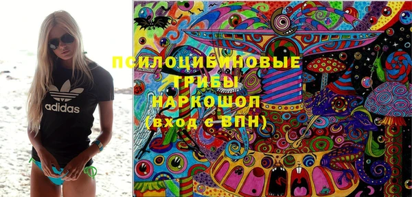 стаф Алексеевка