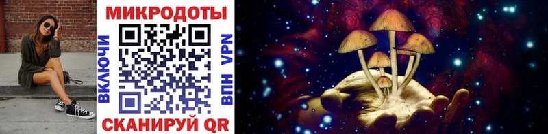 Галлюциногенные грибы GOLDEN TEACHER  купить наркоту  Отрадная 